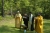 Missionary Activity