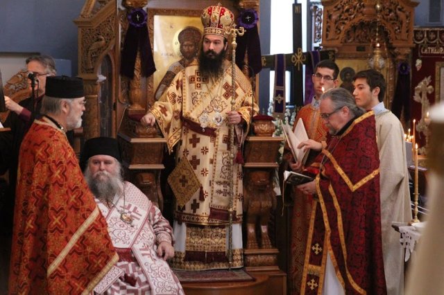 2015stmarkellamaryegypt008